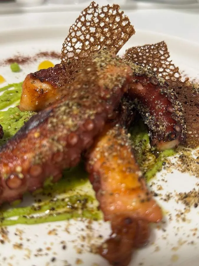 Oktopus, gourmet angerichtet